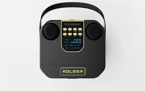 Портативная караоке Bluetooth-колонка Koleer+2 беспроводных микрофона 100 Вт — 6
